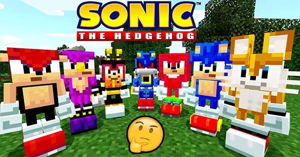 Which Character Are You In Sonic Minecraft DLC?